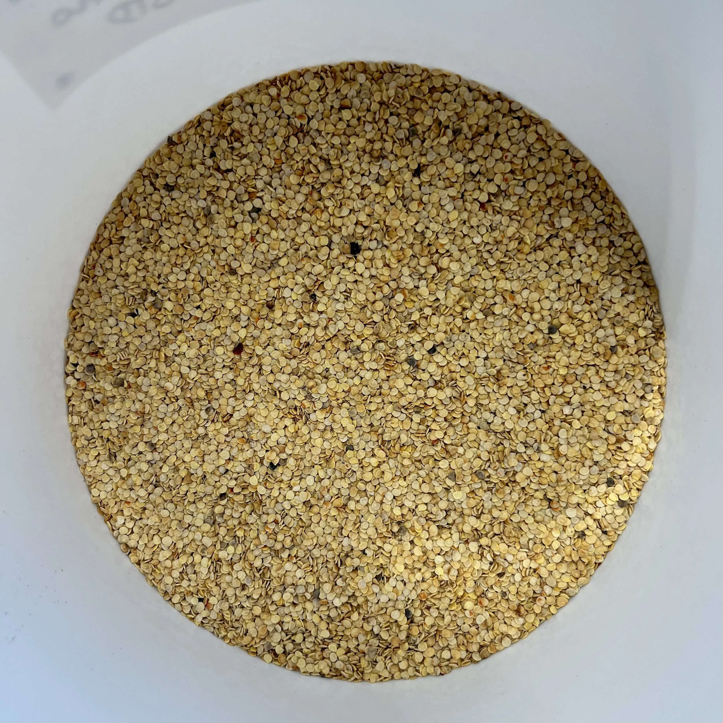 IMG_4474 2.jpeg