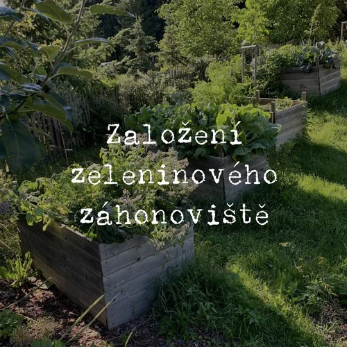 Chcete záhon založit krok za krokem?