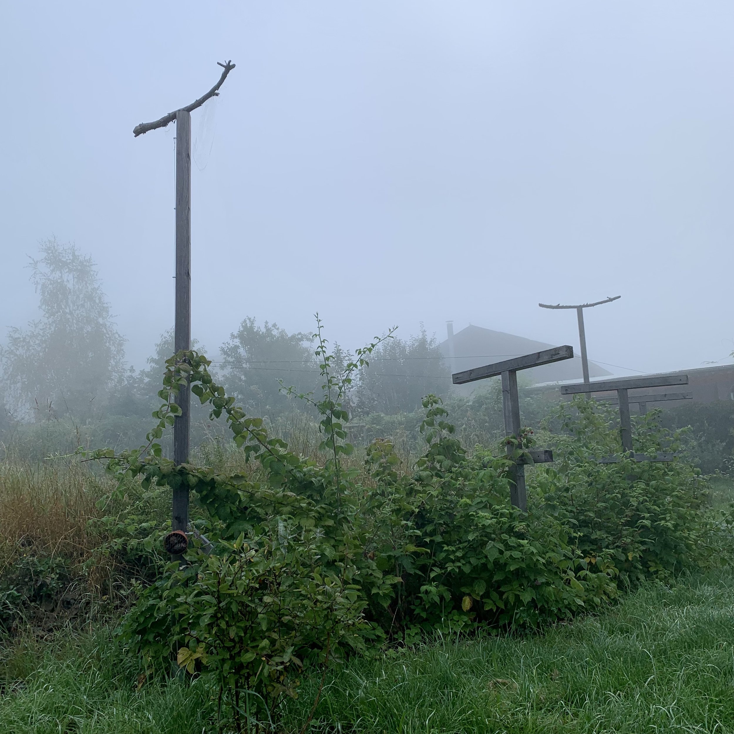 Online kurz design přírodní zahrady v rámci nabídky Black Friday