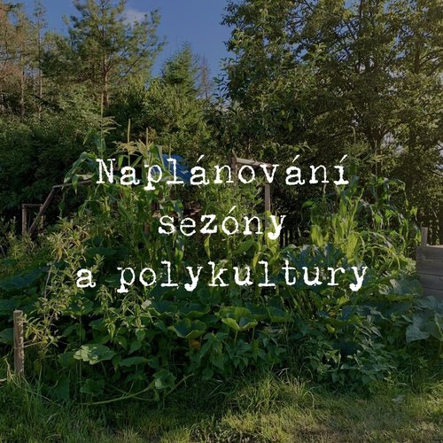 Naplánujte si záhony na celou sezónu