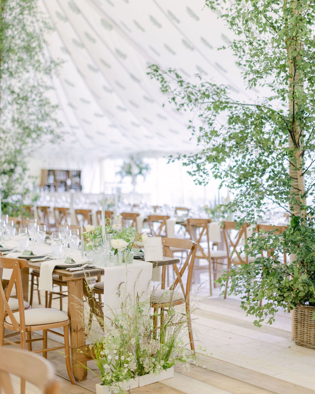 Fresh and green was theme for this June Marquee. Birch trees up the tent poles and meadow arrangements full of grasses and ammi. It truly felt like the outside had come in. 

@imogenxiana 
@lpmbohemia 
@theridgewaybarns 

#weddingflowers #bridalflowe