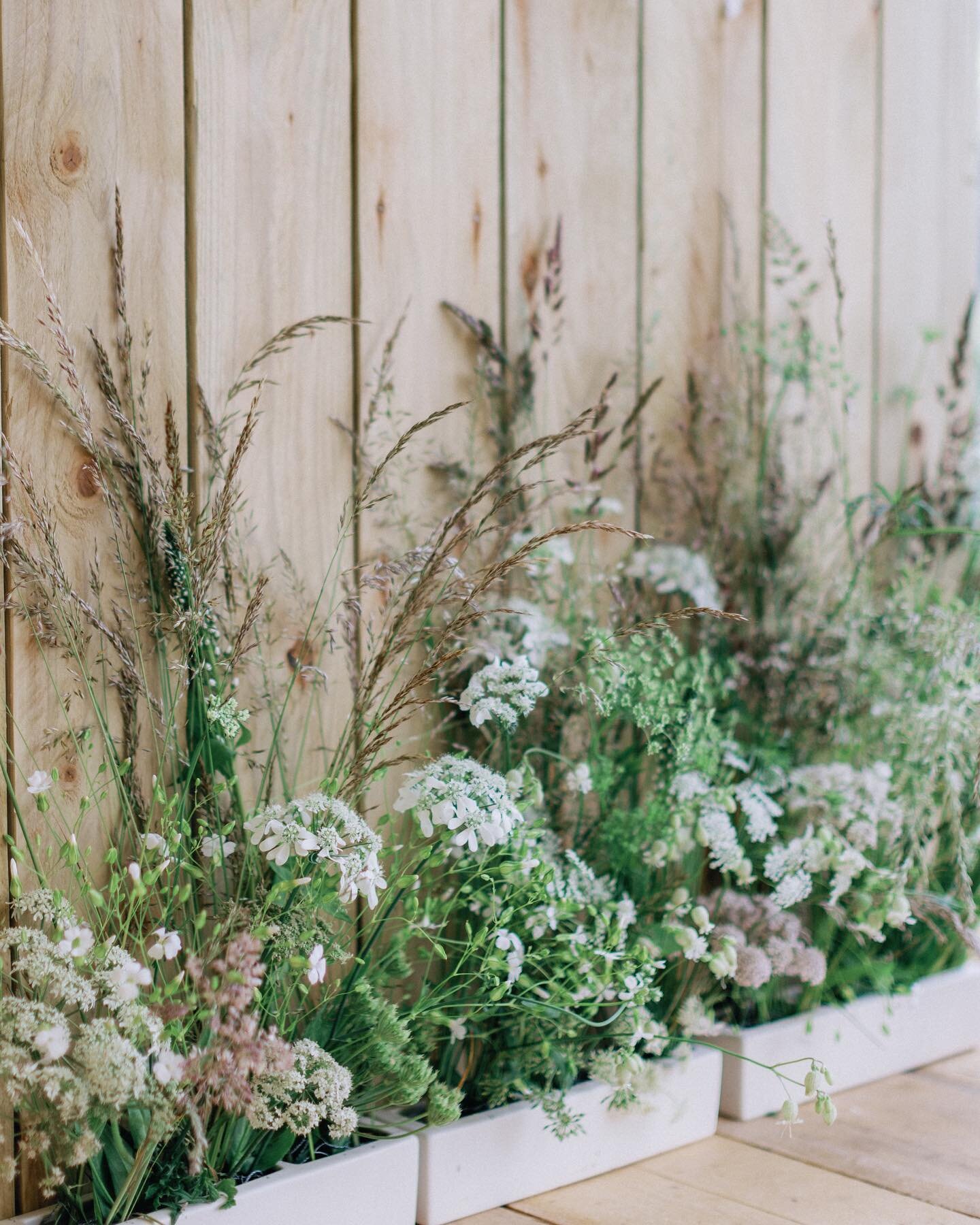With all this rain the fields and hedgerows are beginning to come alive! These meadow arrangements were inspired by the lush grass verges at this time of year. Filled with wild grasses, cow parsley and ammi. They created a beautiful light and airy ai