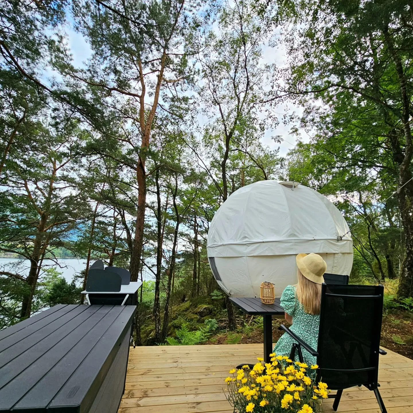 Allerede 24. april &aring;pner vi igjen v&aring;r hengende kokongtelt for sesongen ✨
&Aring; sveve over fjorden &ndash;frister det for v&aring;ren eller sommeren? 😍

#hengetelt #glamping #glampingnorway #glampingnorge #visitryfylke
