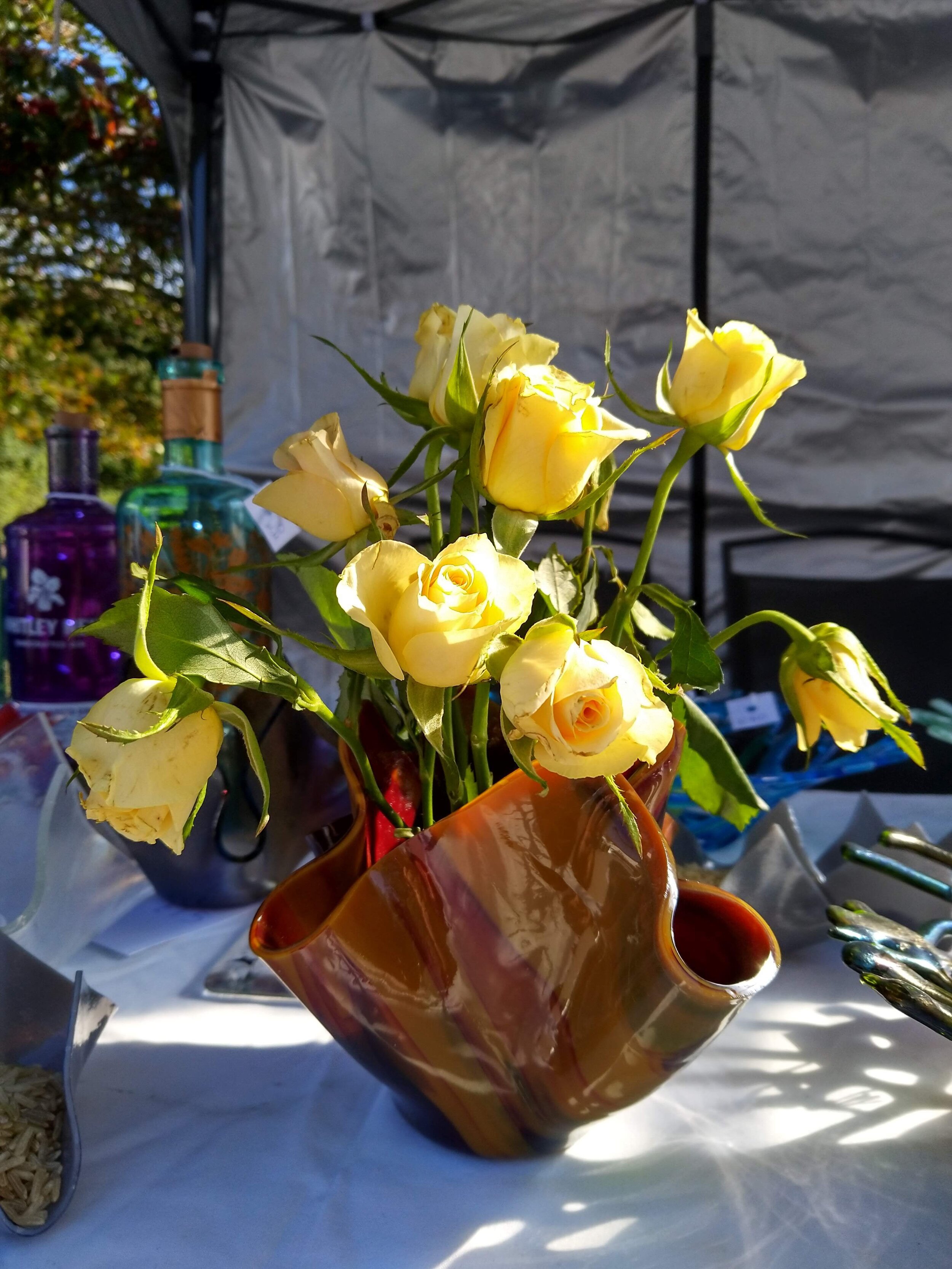IMG_20200926_110350.jpg