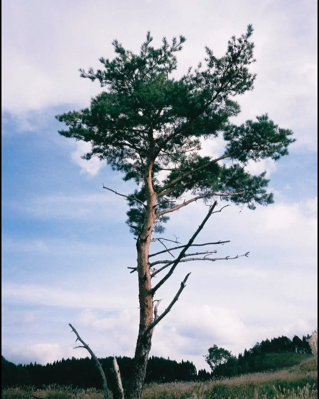 untitled-106.jpg