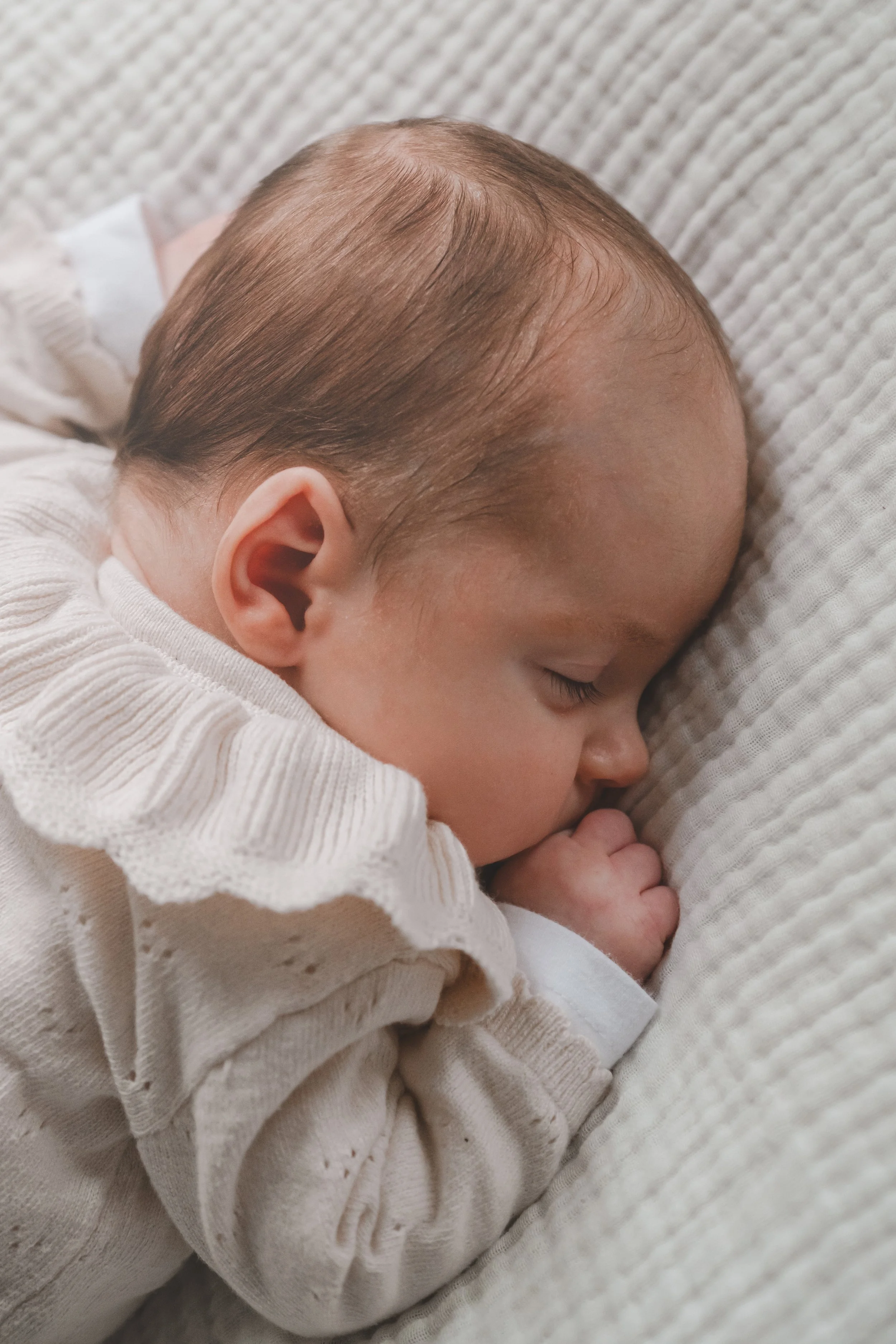 Josefine-13.jpg