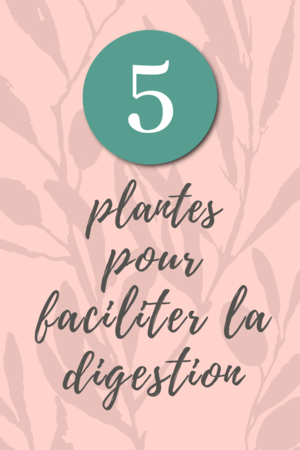 5 plantes pour faciliter la digestion
