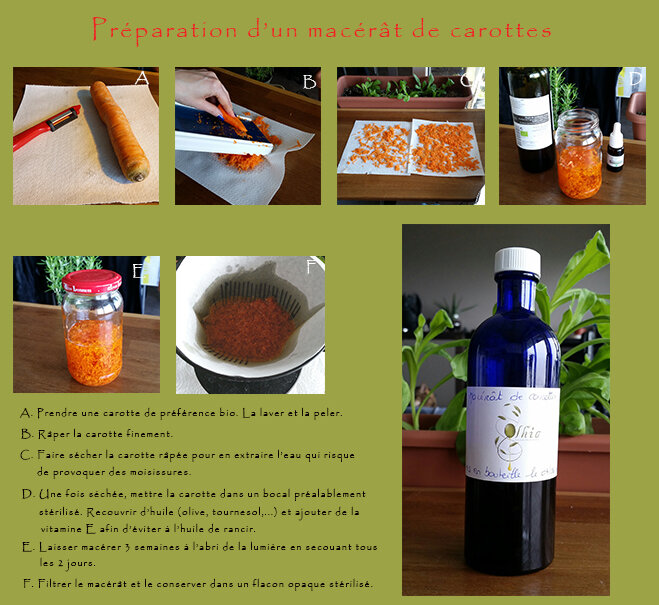 Macérat de carotte