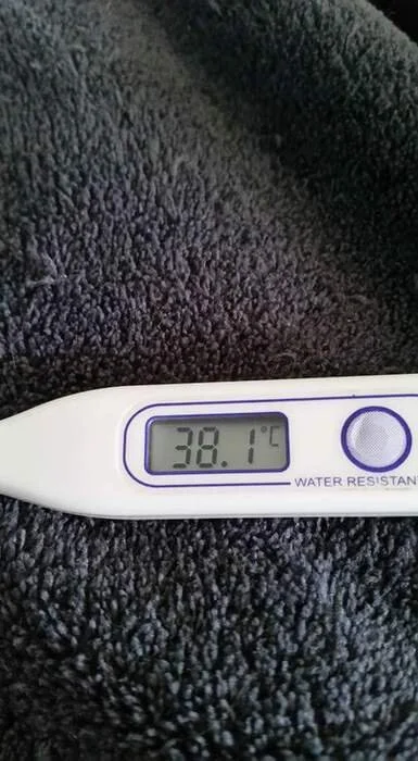 Comment combattre la fièvre par les plantes ?