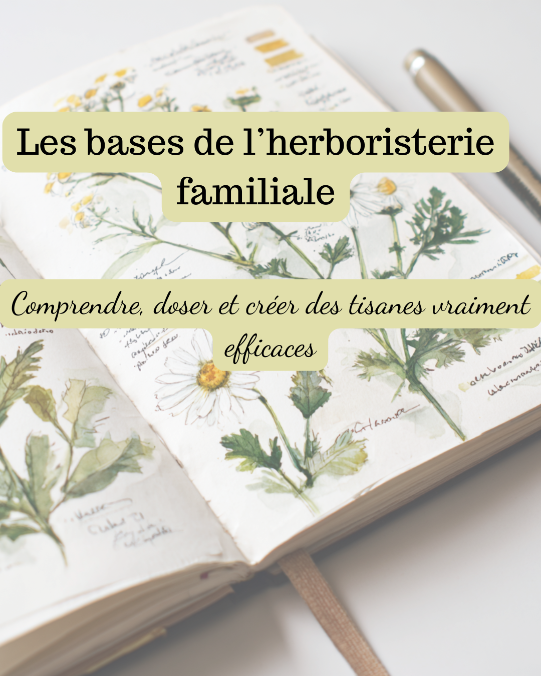 Les bases de l’herboristerie familiale