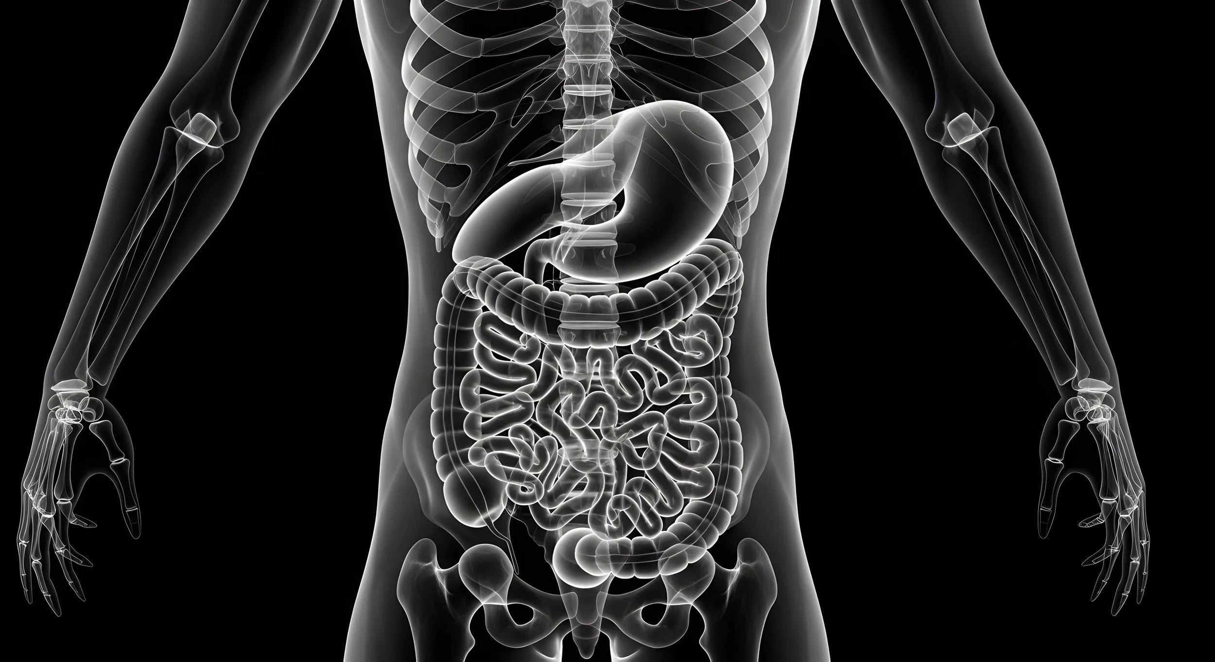 Abdominal X-ray Interpretation | Monday 21 September 2026 | 09:00 - 16:30 | Virtual attendance / On-demand | Earn 6 CPD points