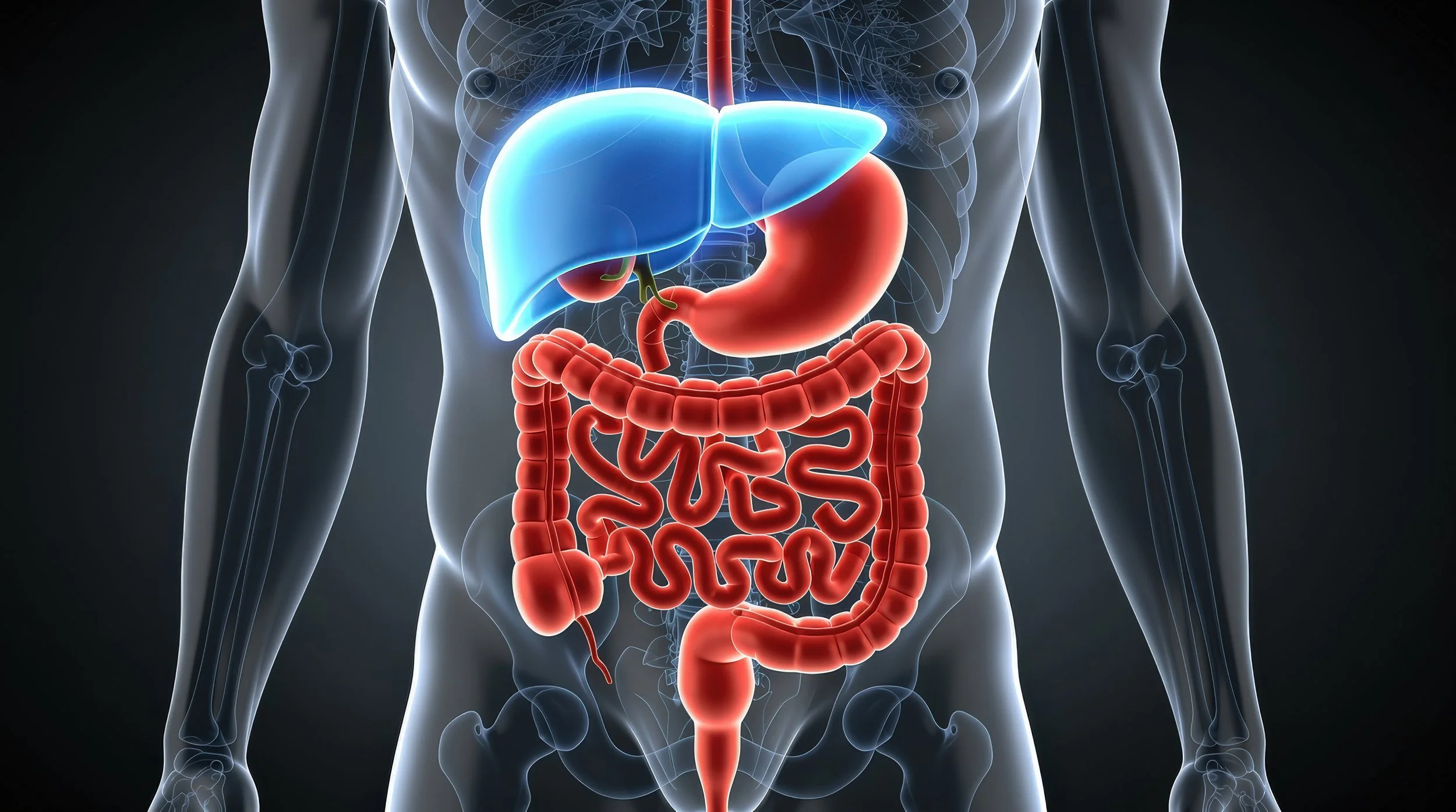 Abdominal Imaging Update Day | Friday 16 October 2026 | 09:00 - 16:45 | Virtual attendance / On-demand