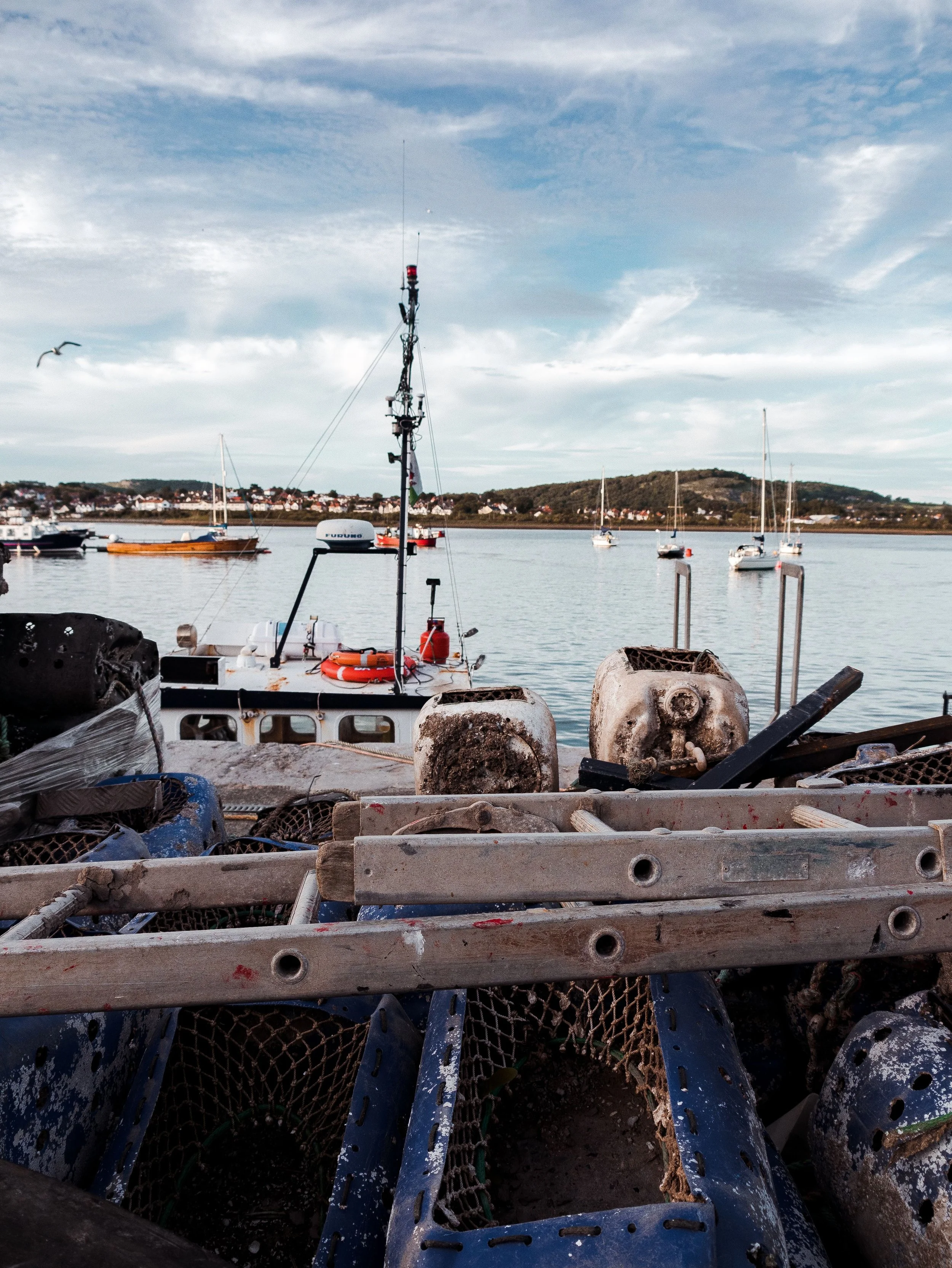 DISCOVER PORTAFERRY: A HIDDEN COASTAL GEM ON STRANGFORD LOUGH