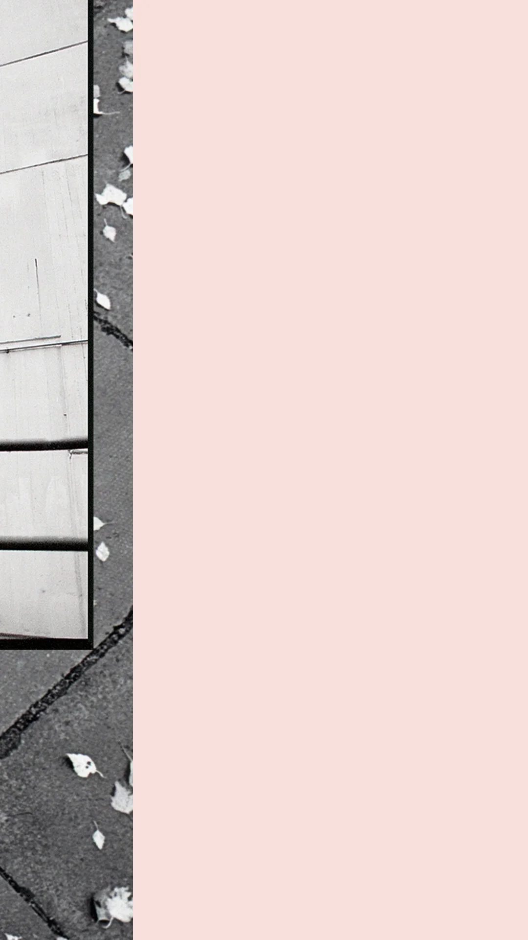 Artboard 6.jpg