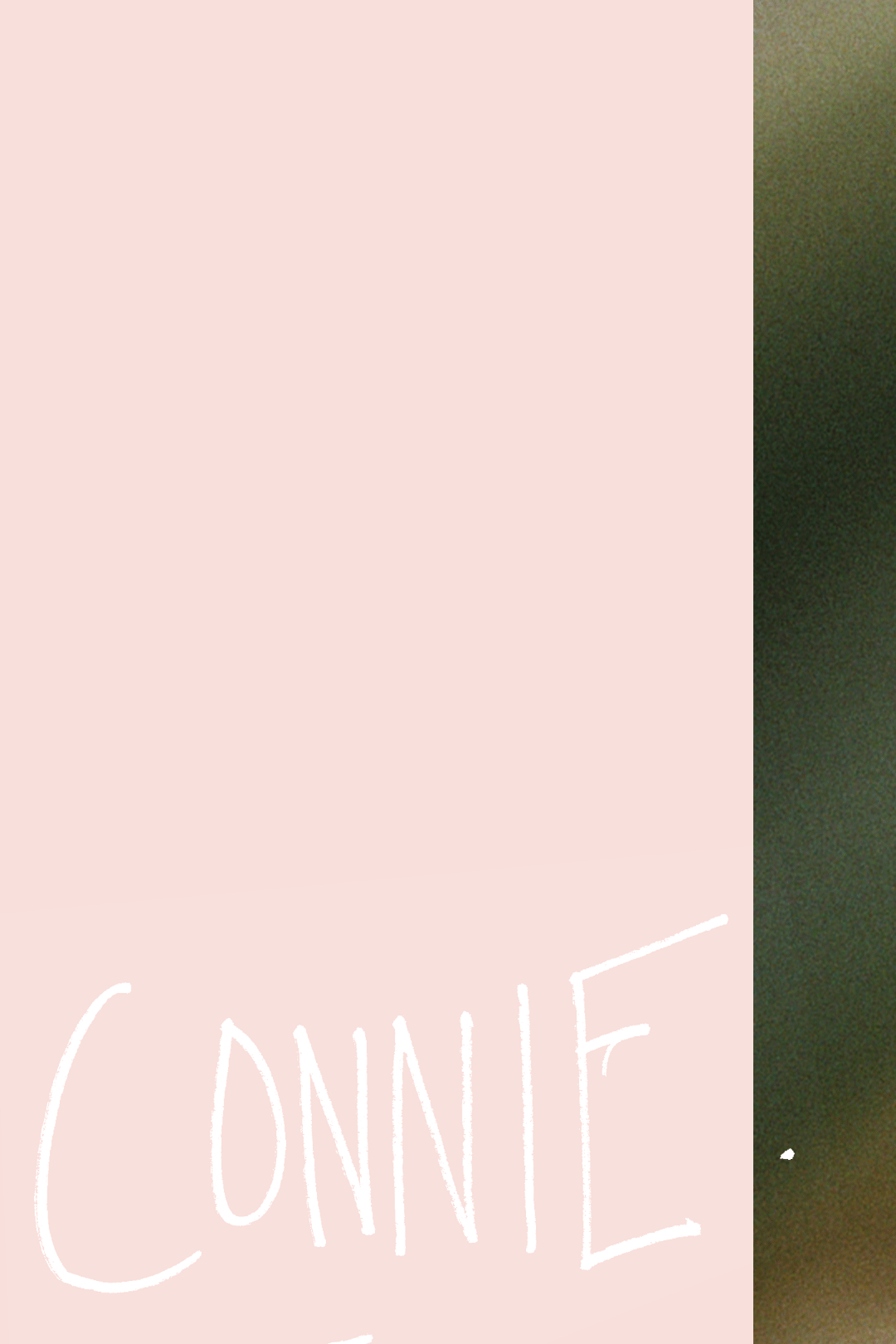 CONNIE_9X16_WEBSITE_01.gif