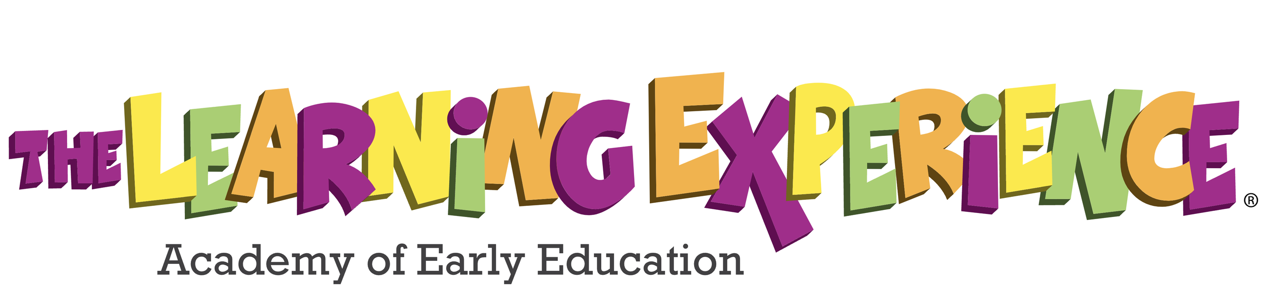 The Learning Experience Logo.png