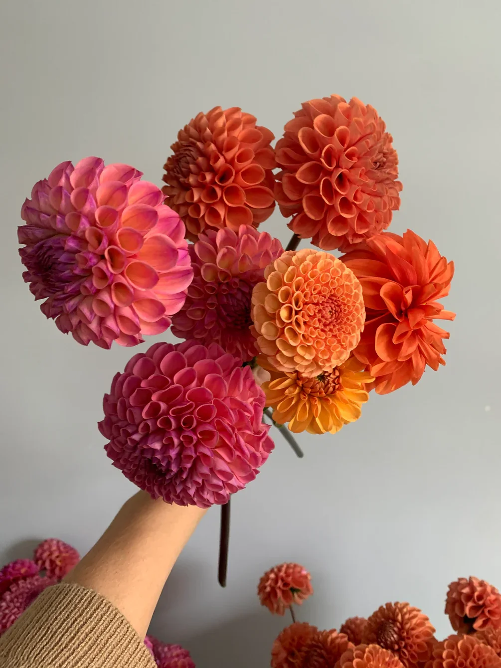 Autumn Equinox Flower Workshop featuring Dahlias