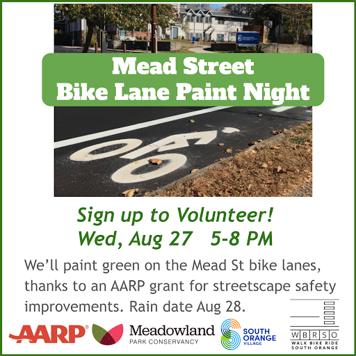 Mead Street Bike Lane Paint Night