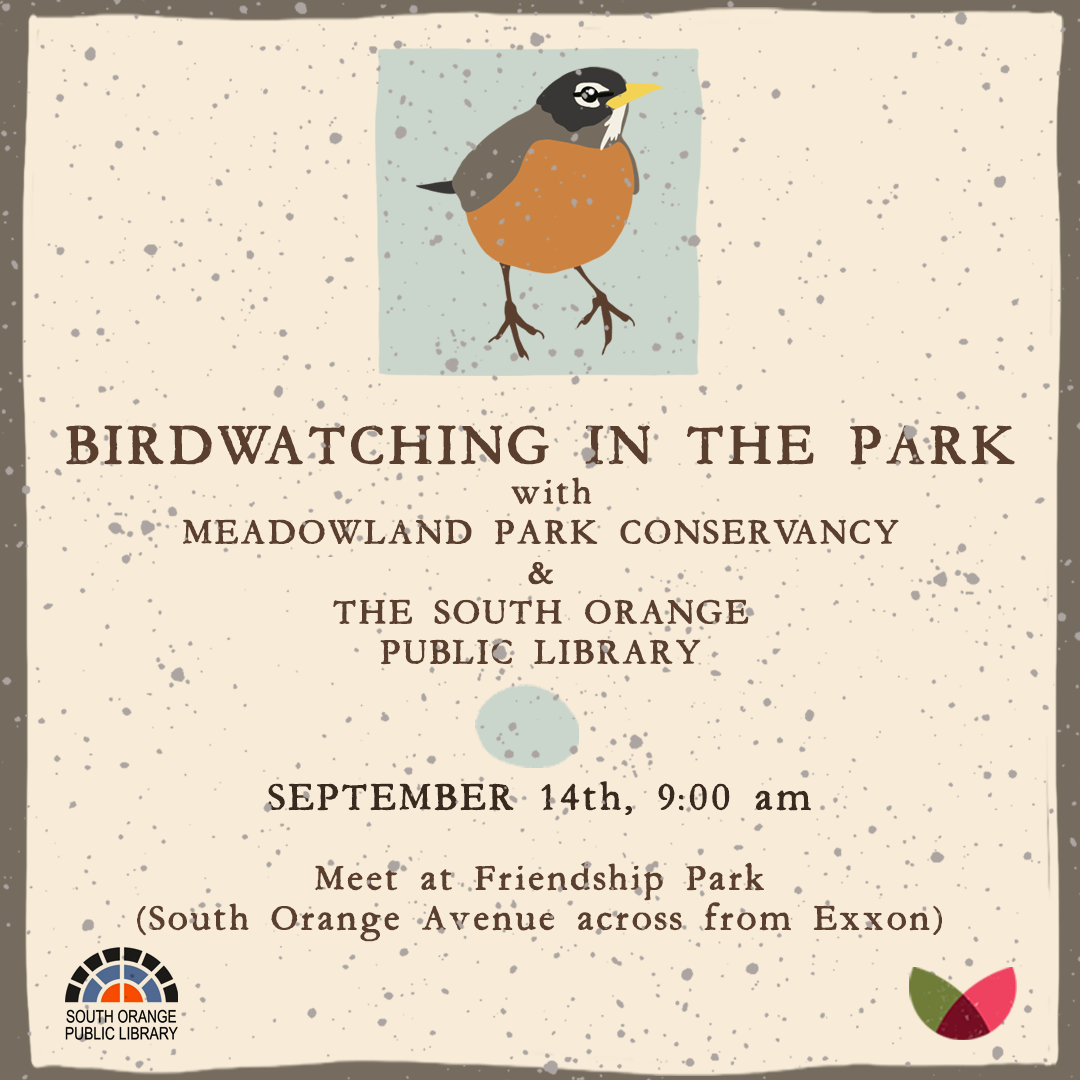 Birdwatching in the Park