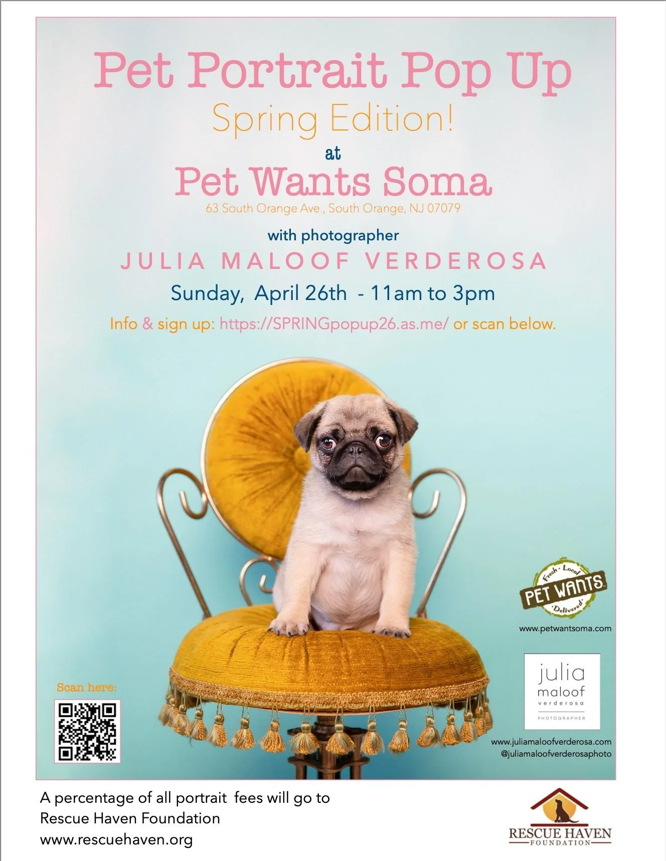 Pet Portraits At Pet Wants