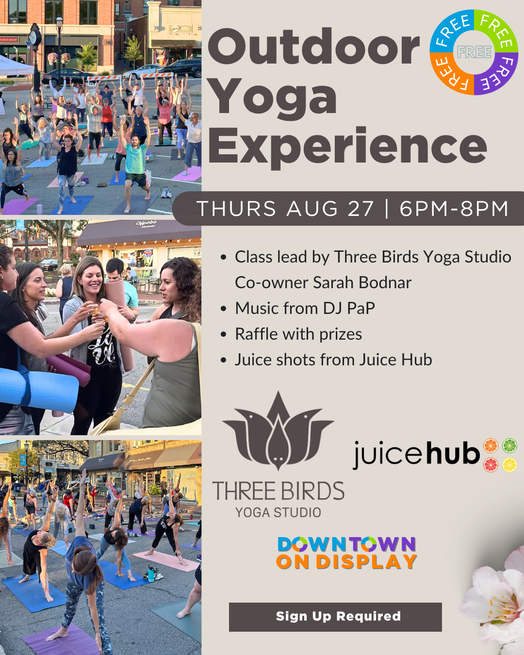 Outdoor Yoga Experience W/ Three Birds yoga studio