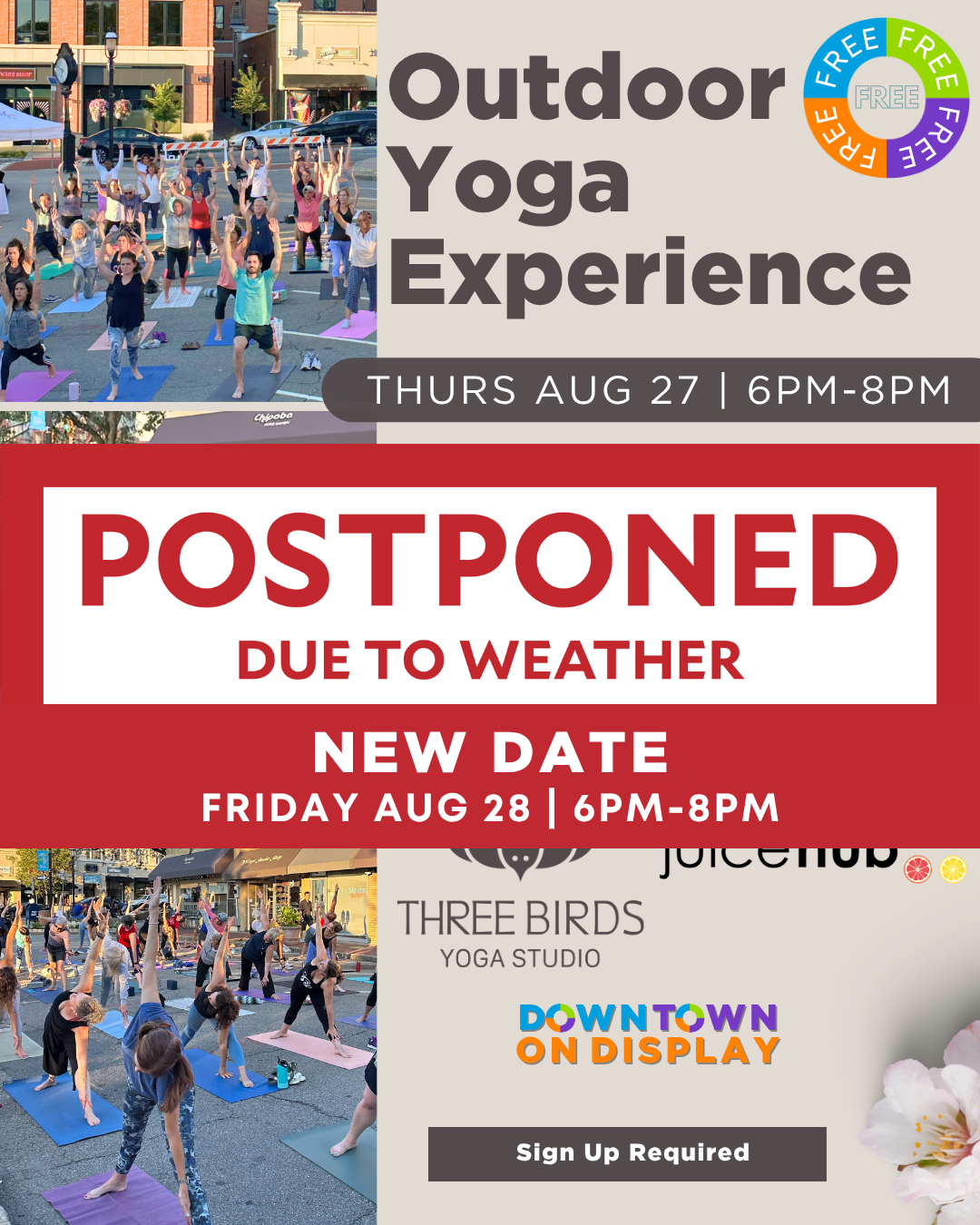 Outdoor Yoga Experience W/ Three Birds yoga studio