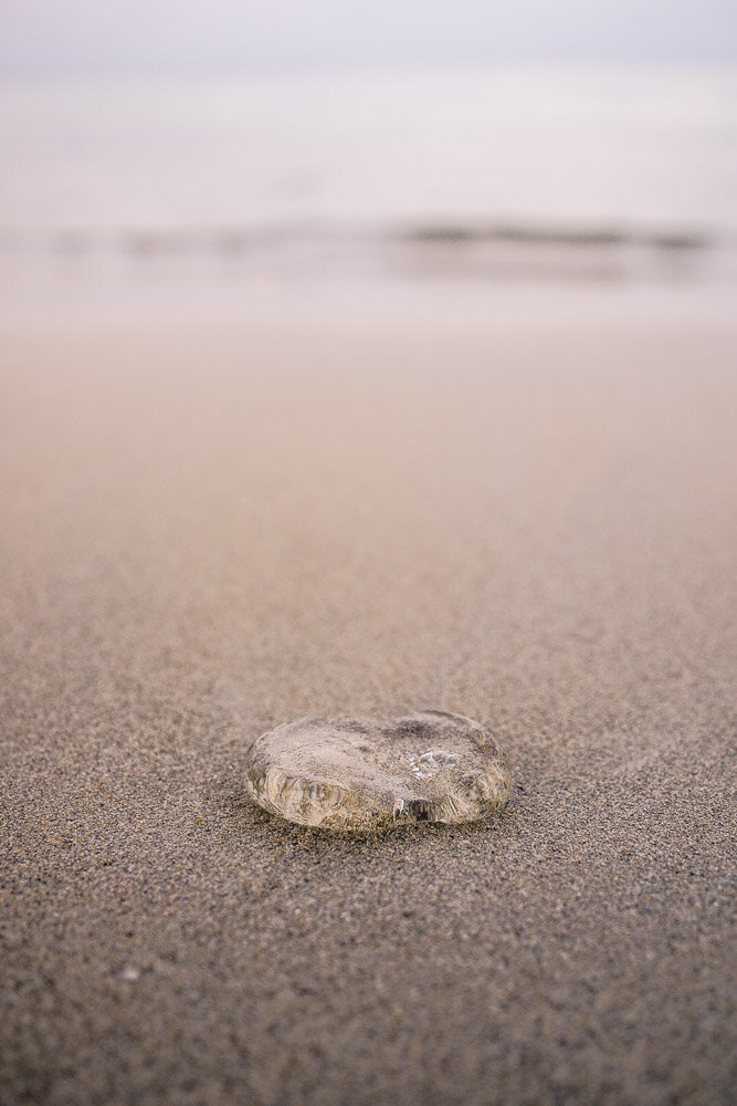 Thailand Phuket a6000 12162015-132.jpg