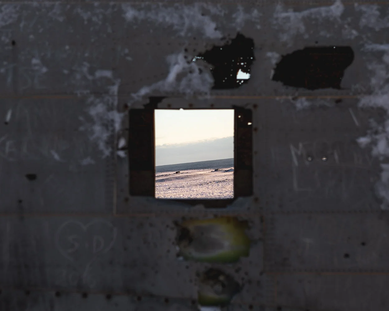20190130_Iceland_5D4_278.jpg