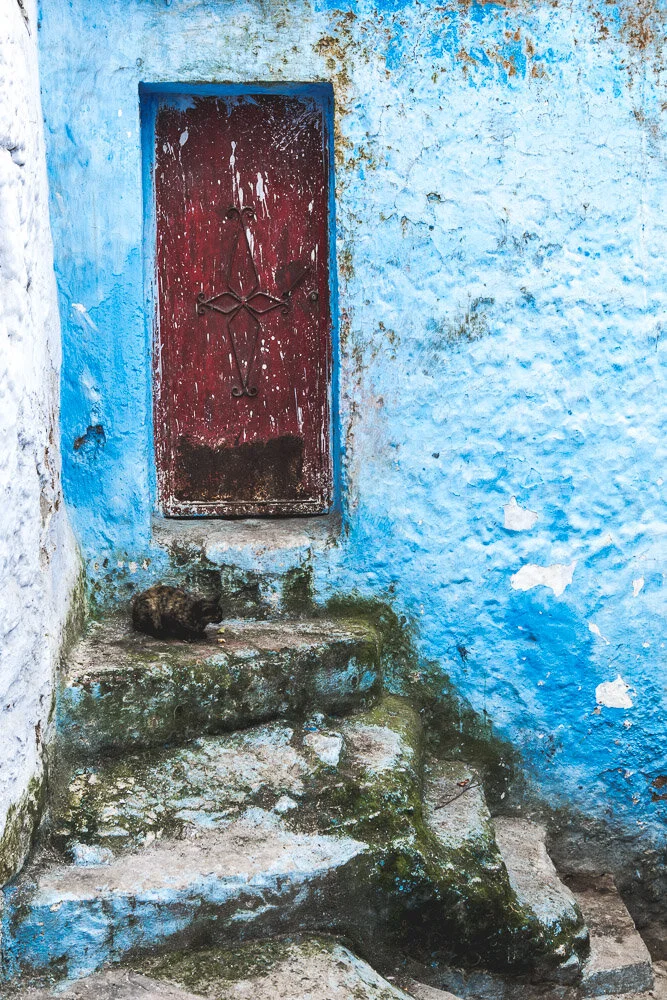Morocco 032017-862.jpg