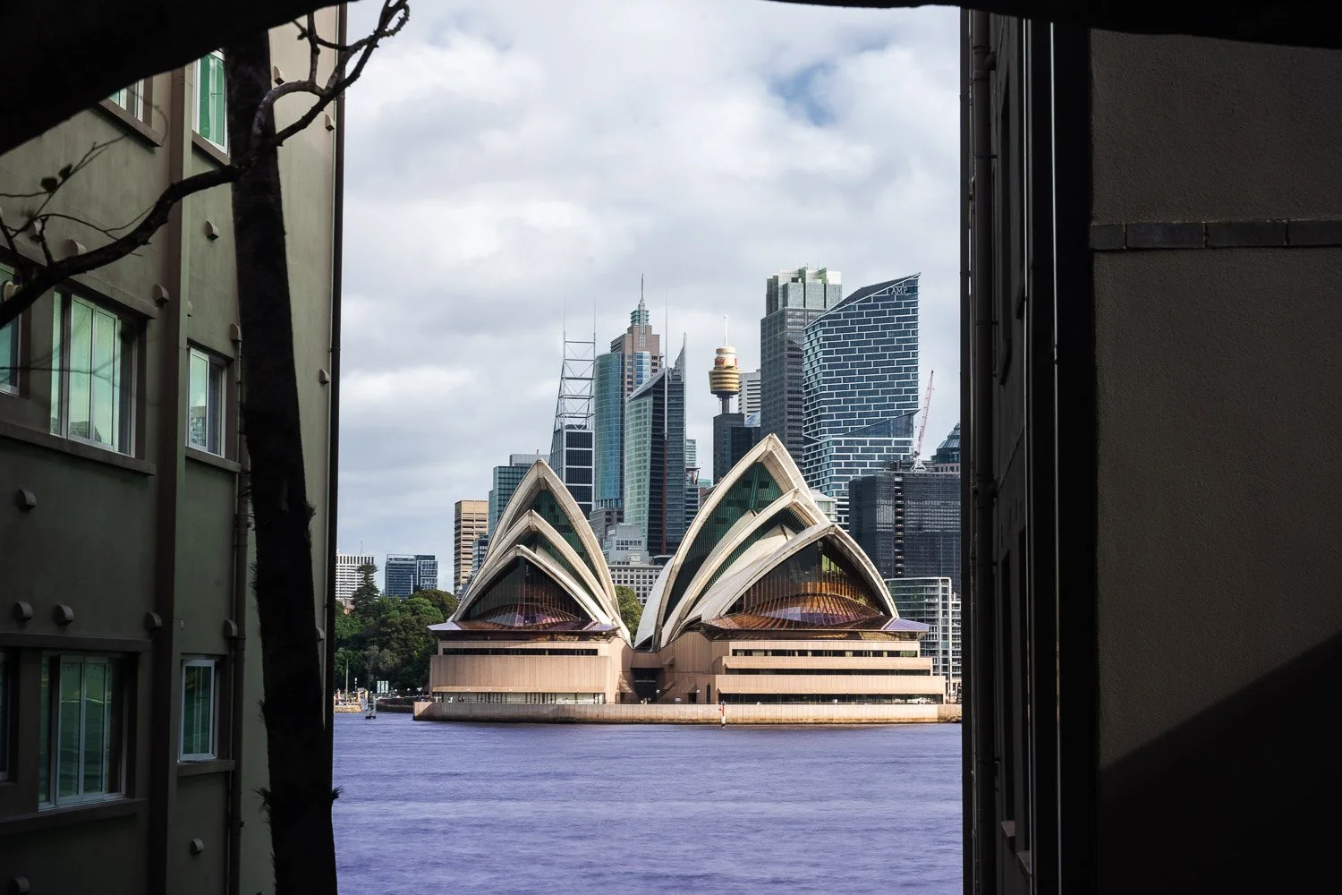 20240420_Sydney_Australia_1058.jpg