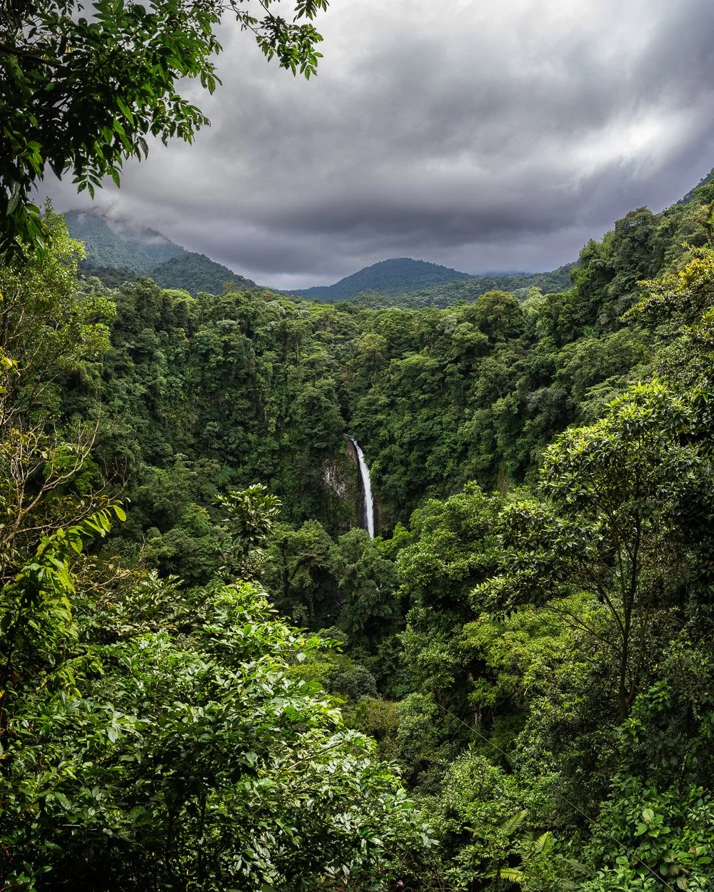20240829_Costa_Rica_490-Pano.jpg