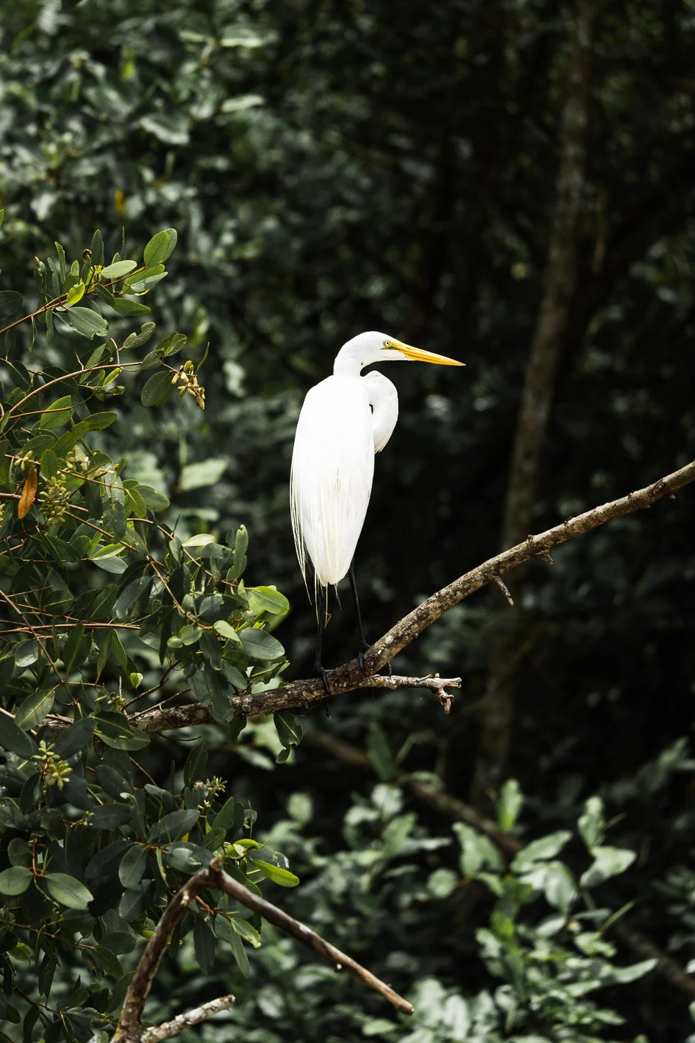 20240902_Costa_Rica_148.jpg