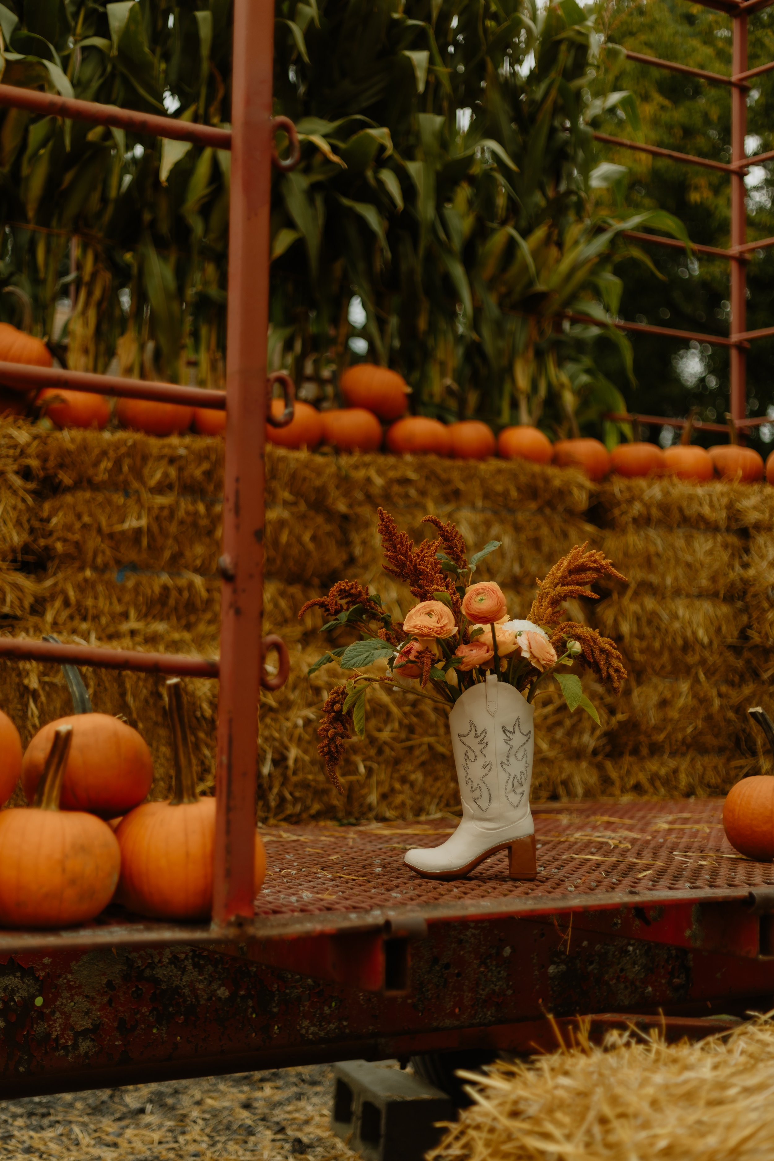 FLEUREXCEL-SEPT-961A5719.jpg