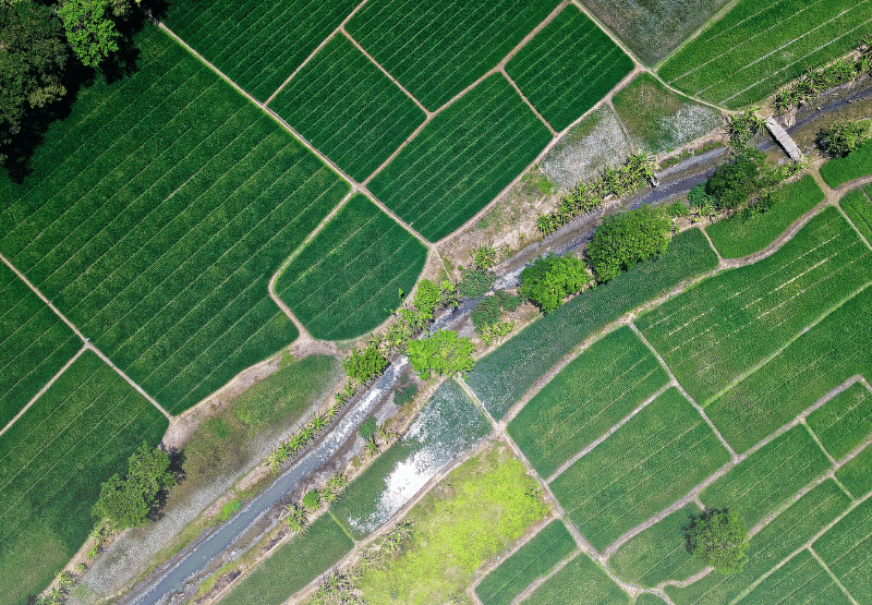 Image showcasing Municipal Irrigation Systems | Cut Water Waste Across Public Parks ...