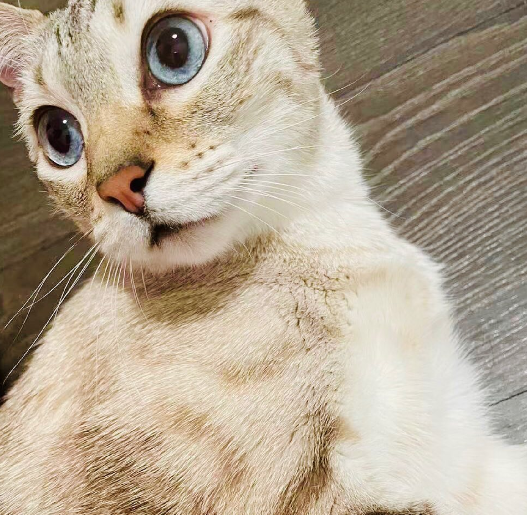 Screen Shot 2021-12-26 at 2.21.26 PM.png