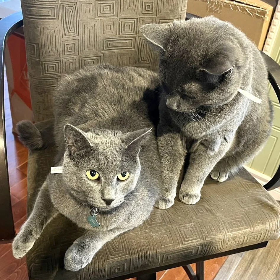 Cliff & Cooper