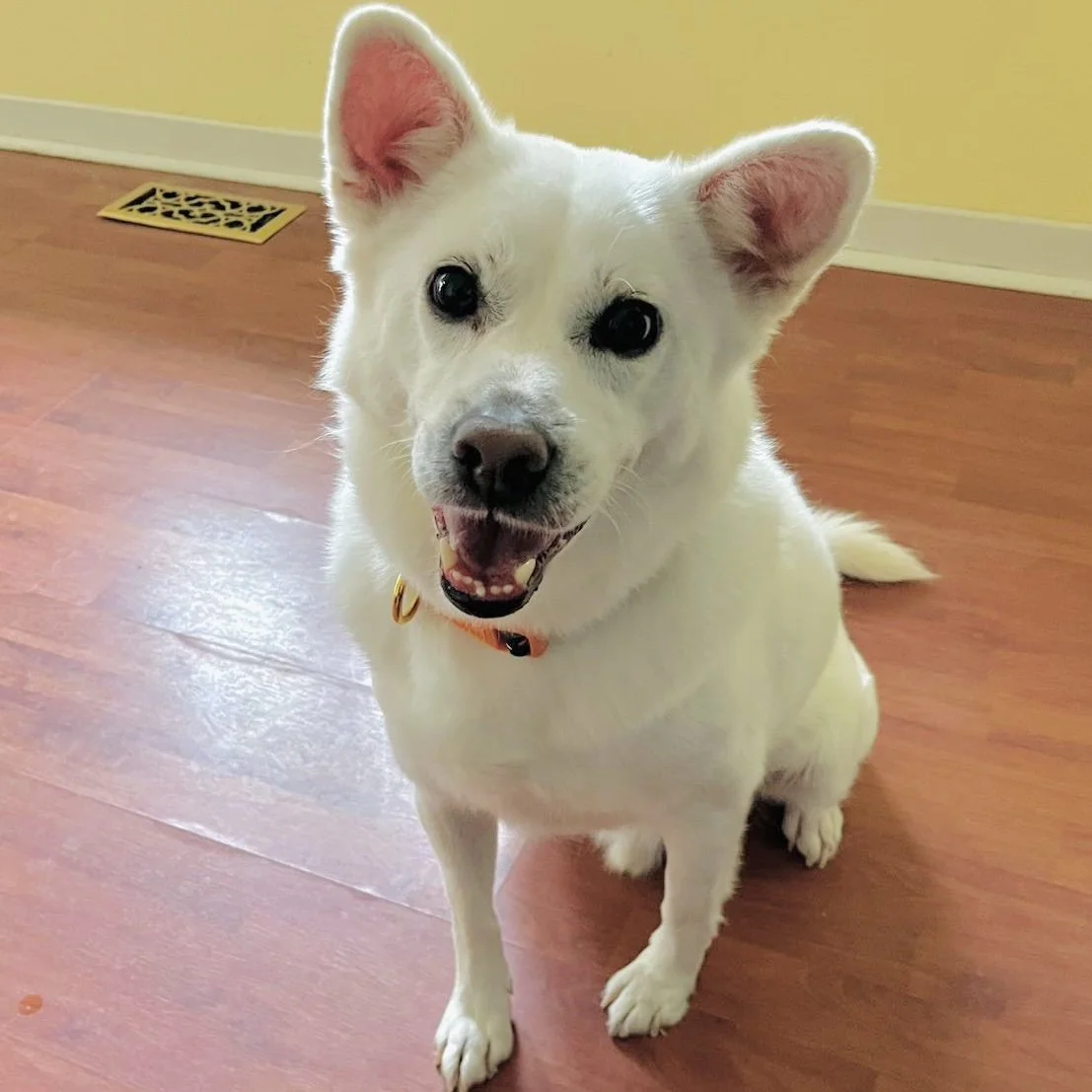 Max