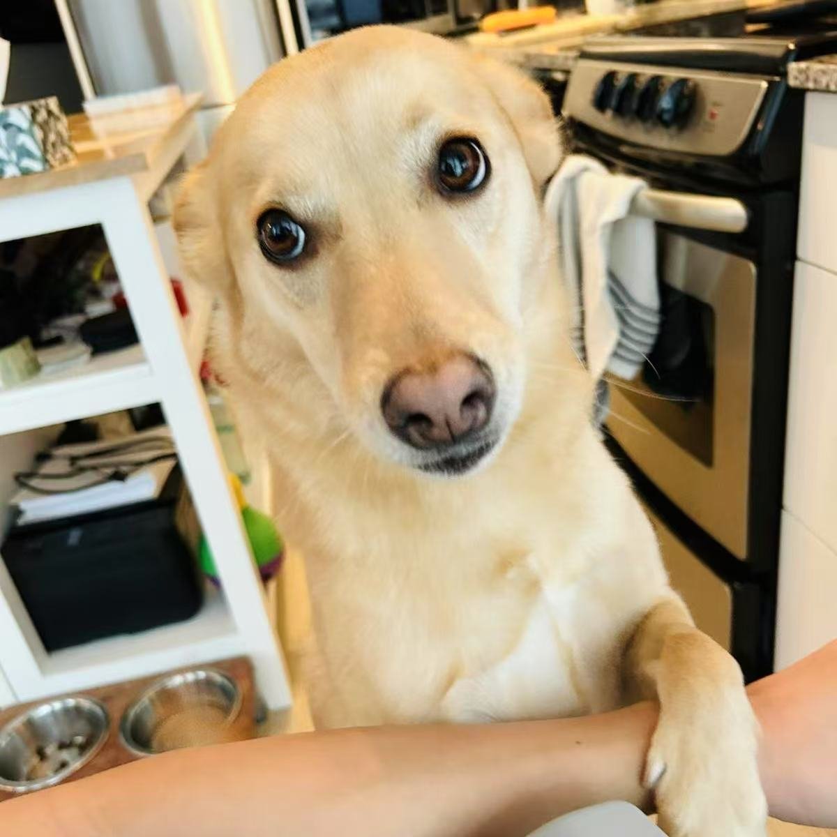 5231736832299_.pic.jpg