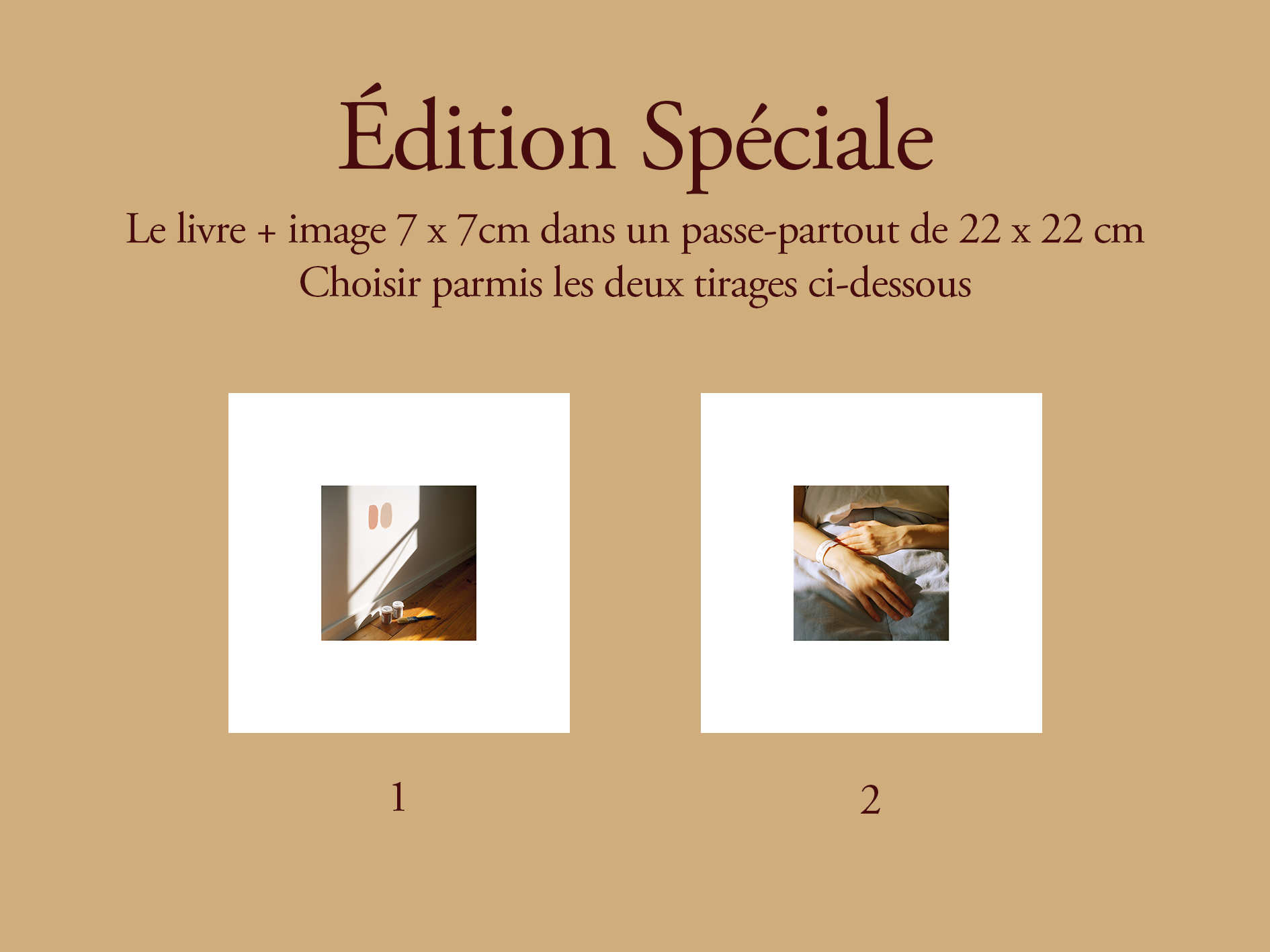 édition Spéciale.png