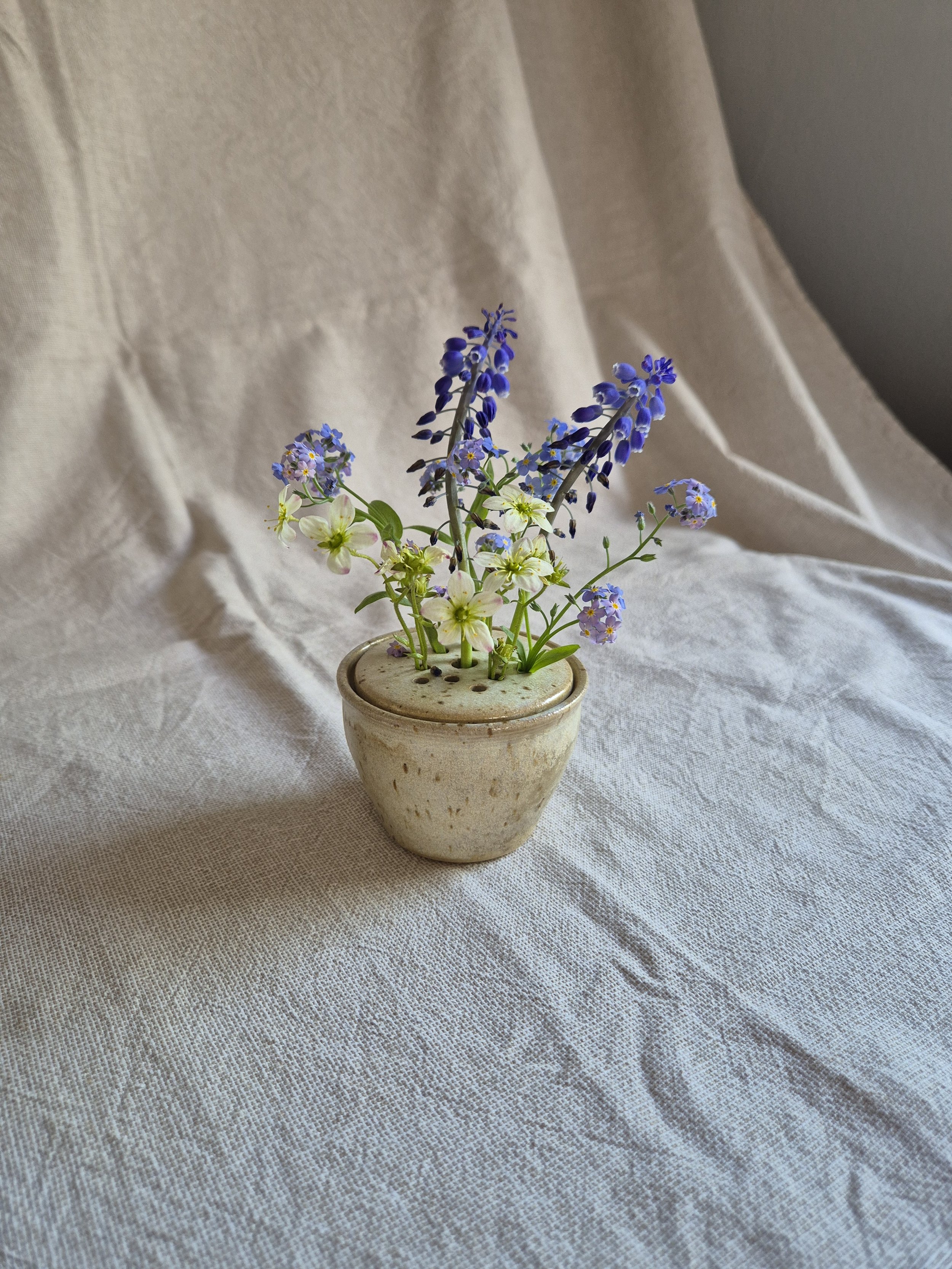 processed_24acadf49abd4f788fd17cdb60081a0f.jpeg