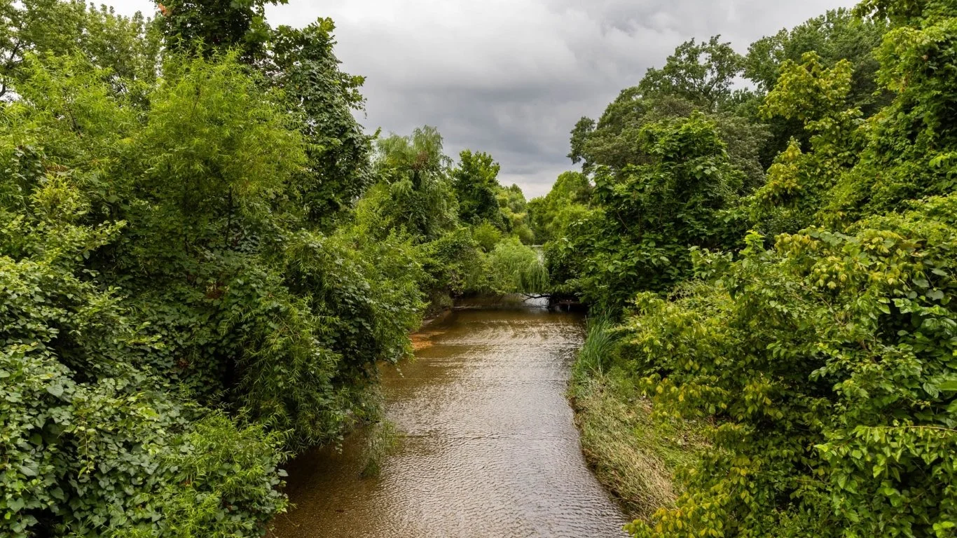 A narrow stream flowing through a lush, green forest with overcast sky overhead.