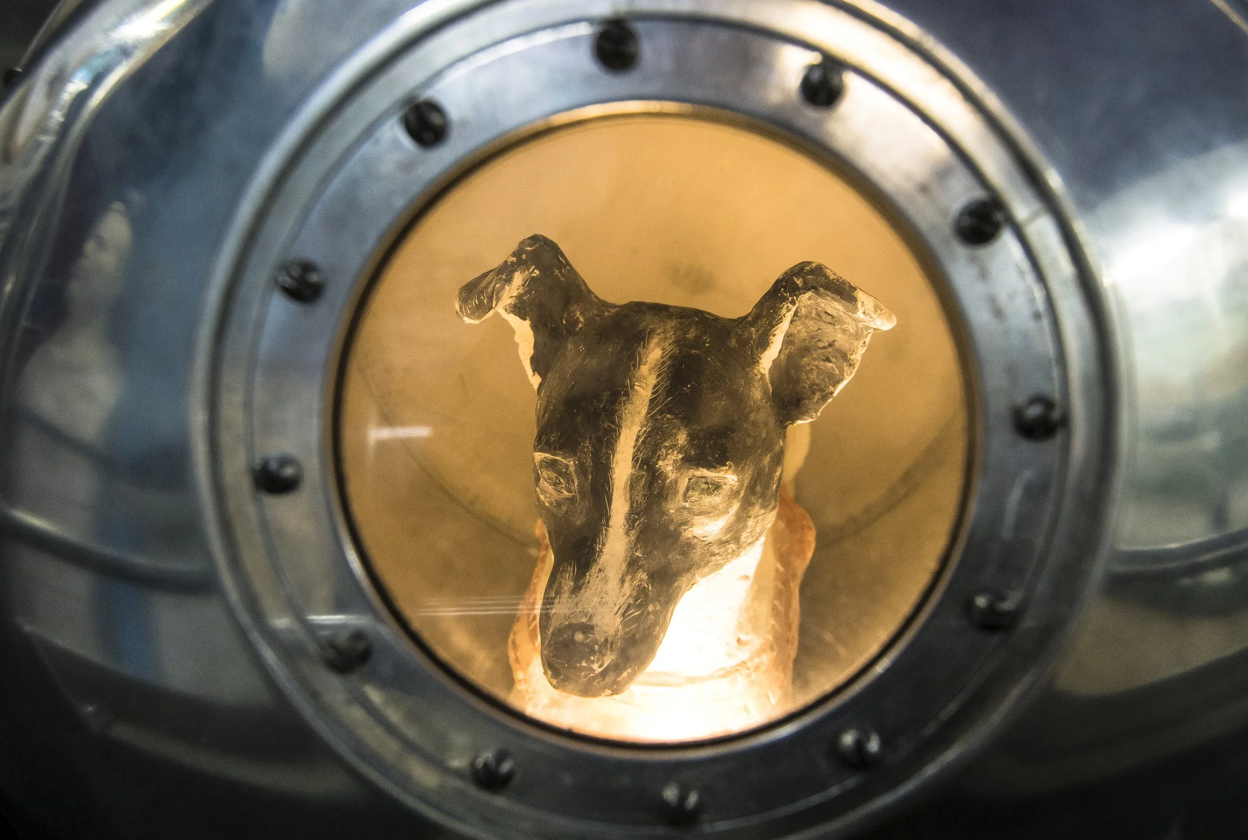 Laika, the Soviet space dog, inside the Sputnik 2 capsule during the 1957 mission that made her one of the first animals in space.