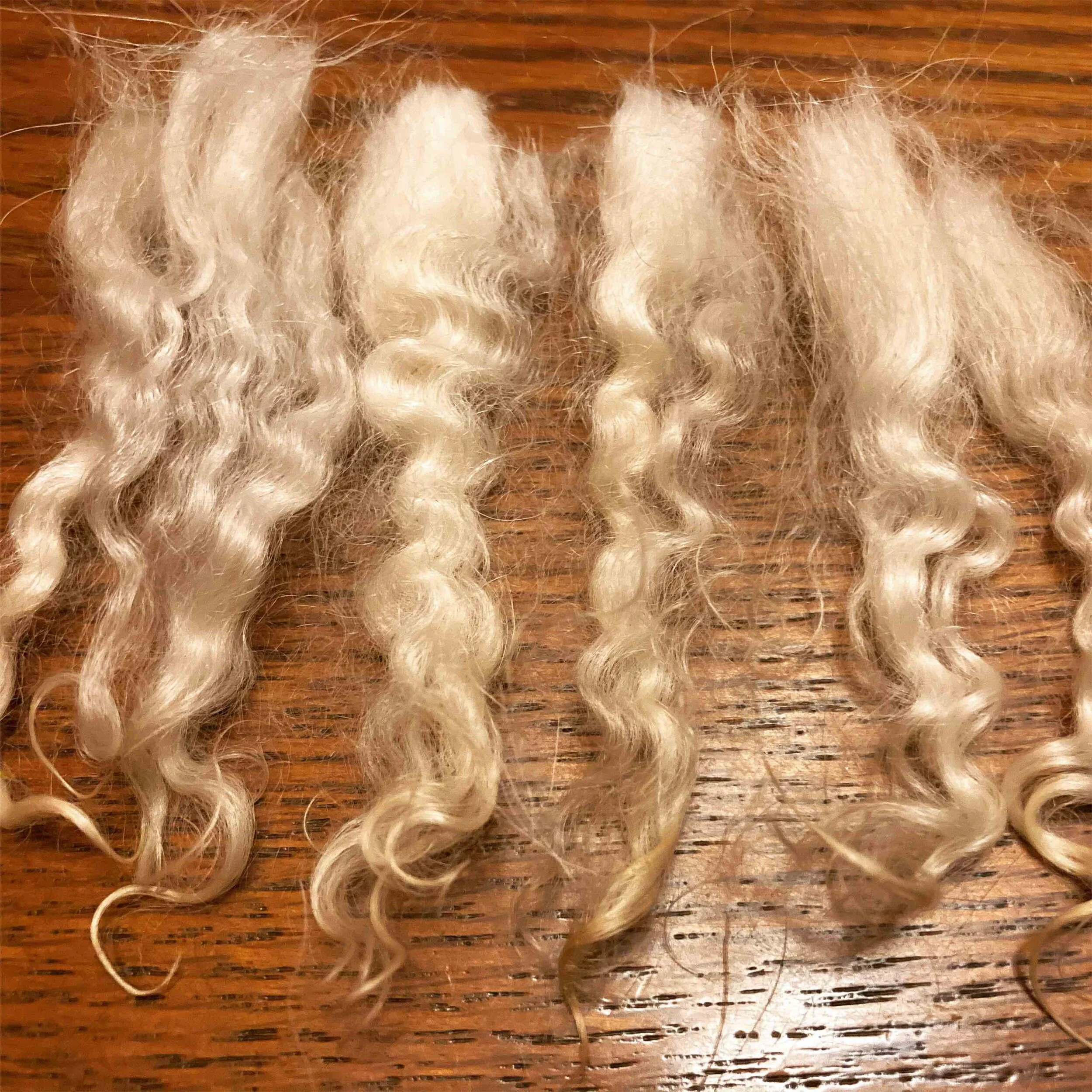 Raising Pygora Goats: Chapter 3, Fleece 101