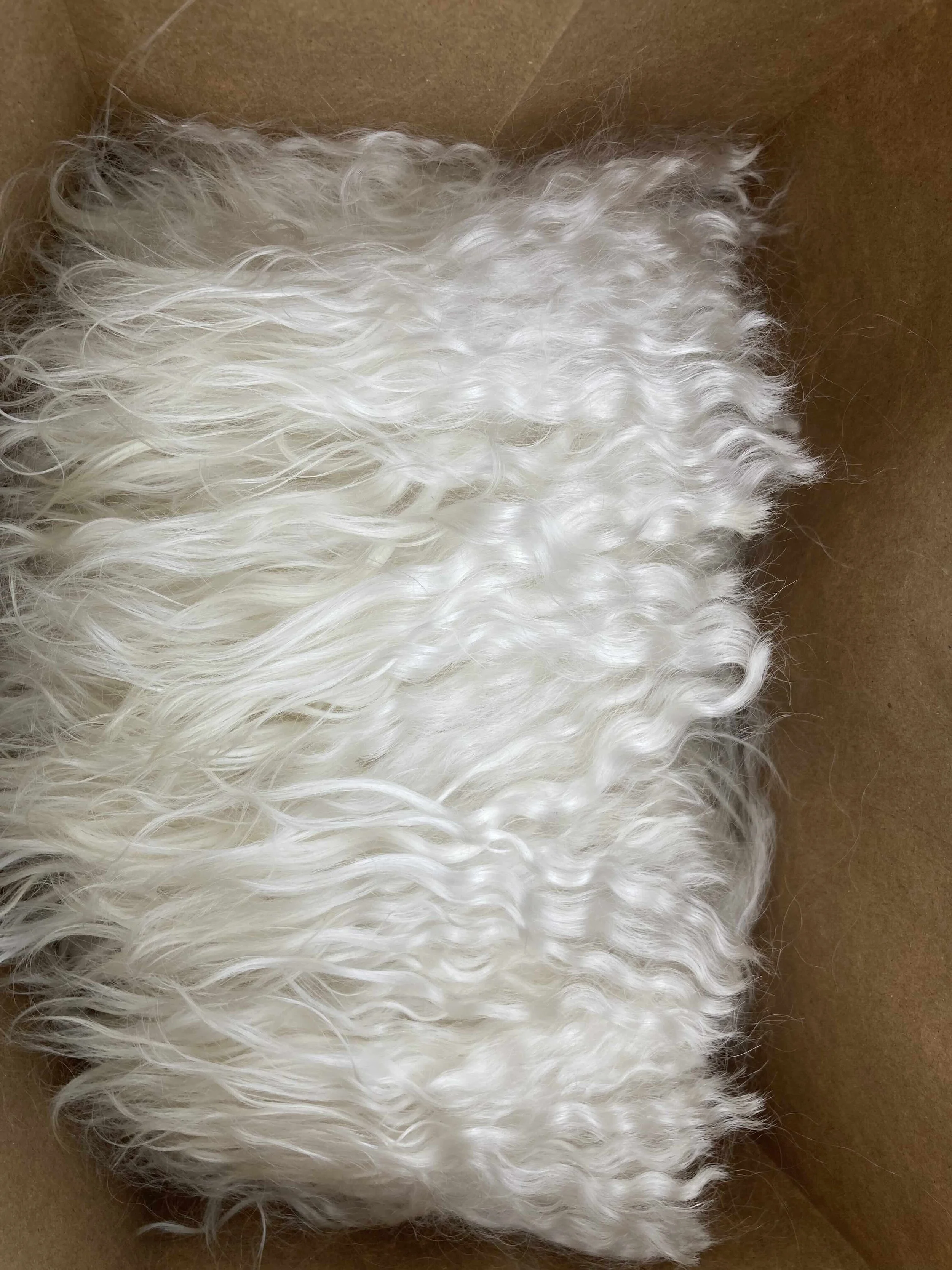 Cece_Fiber.jpg