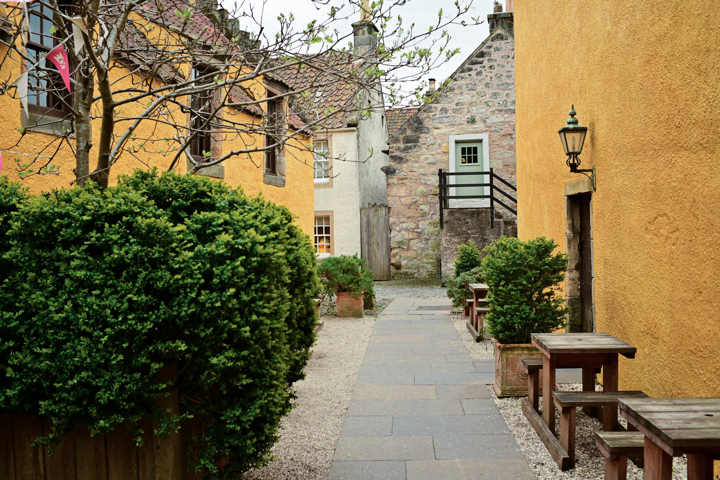 NZF_0185.jpg