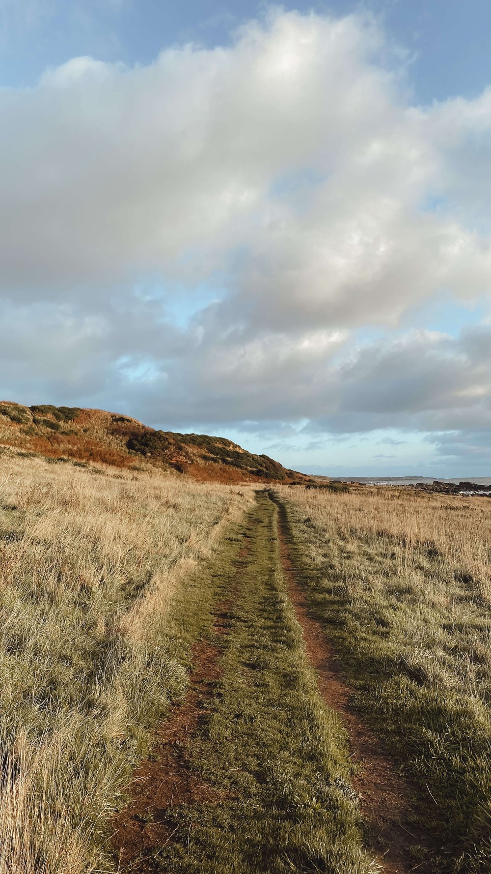 best-things-to-do-crail-fife-coastal-path.jpg