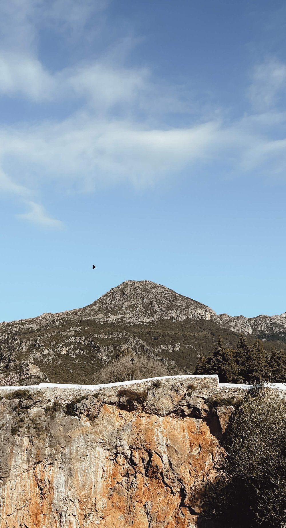 best-things-do-casares-spain-vulture-spotting.jpg