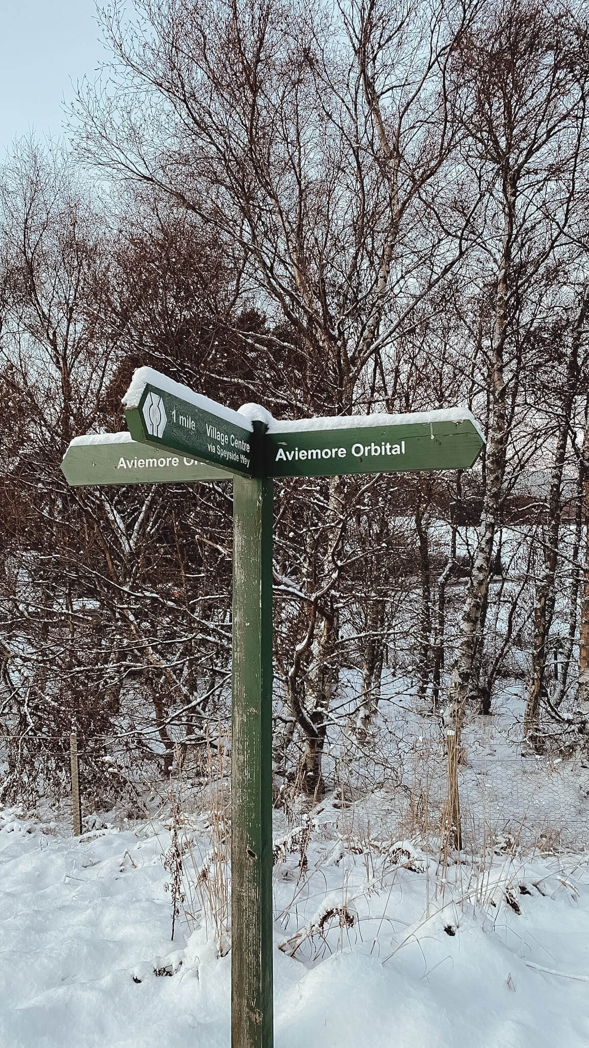 aviemore-walks-orbital-signpost.jpg