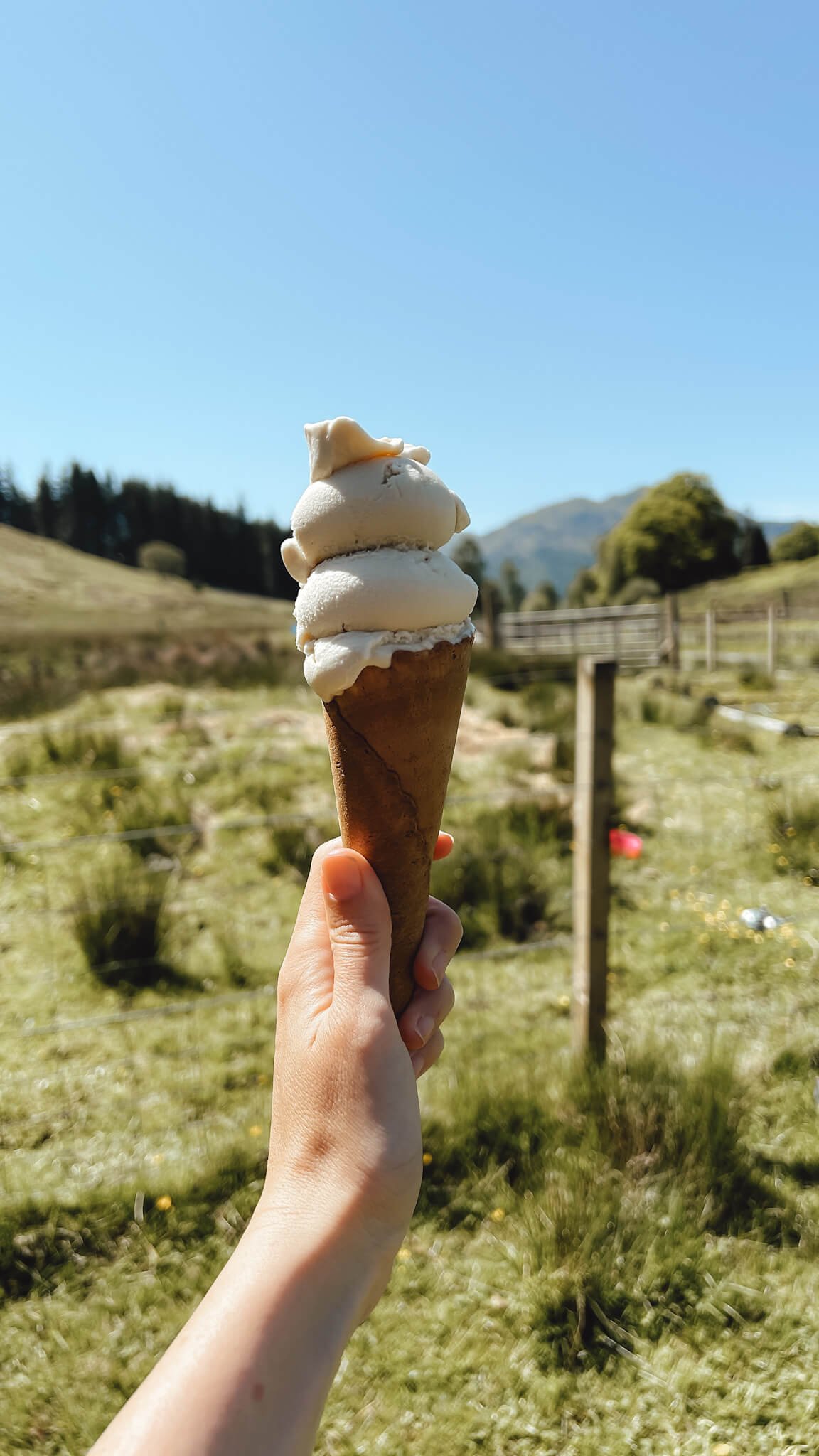 three-lochs-forest-drive-achray-farm-ice-cream.jpg