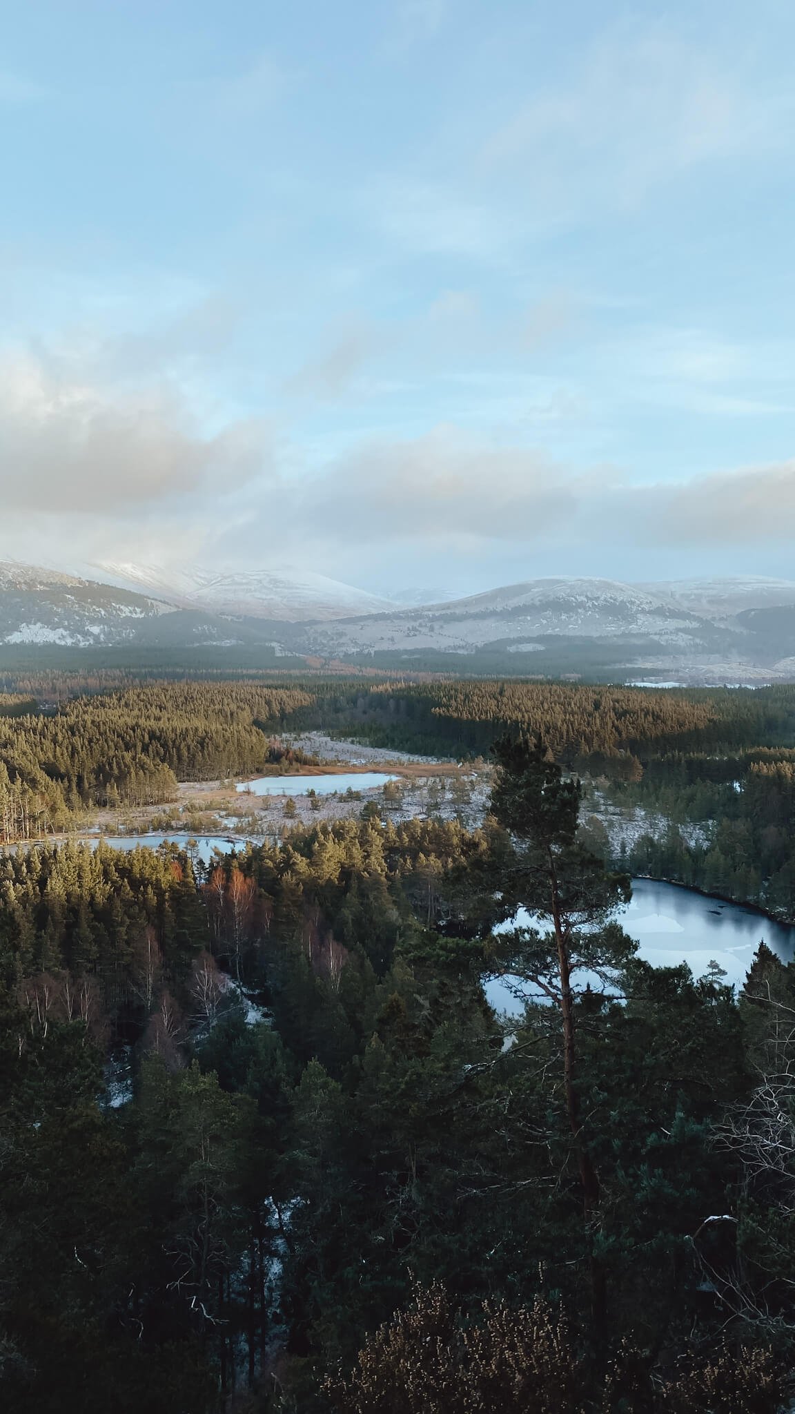 winter-in-scotland-cairngorms-uath-lochans.jpg